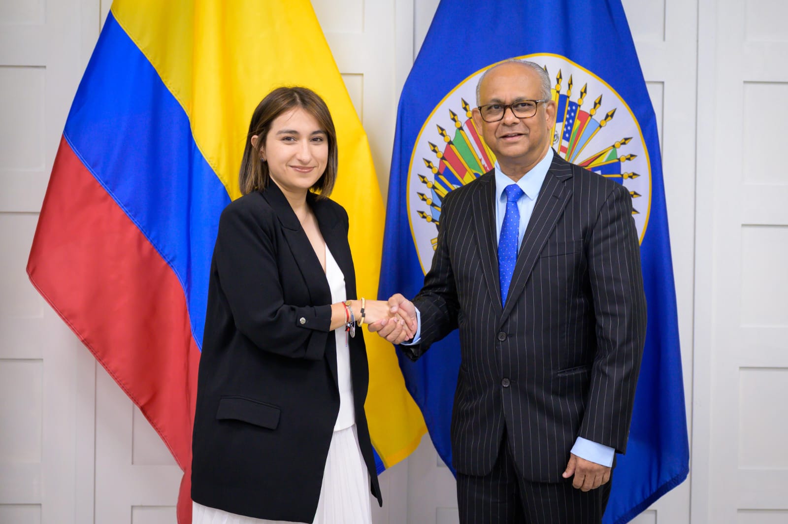 Sarabia se reunió con el secretario general de la OEA: ¿de qué hablaron?