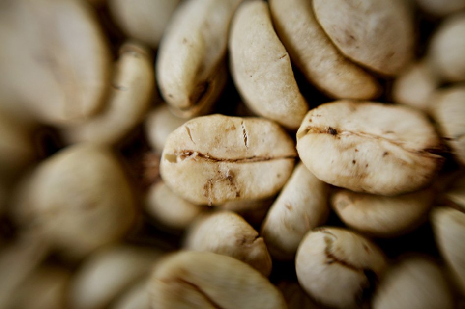 Café colombiano rompería expectativas