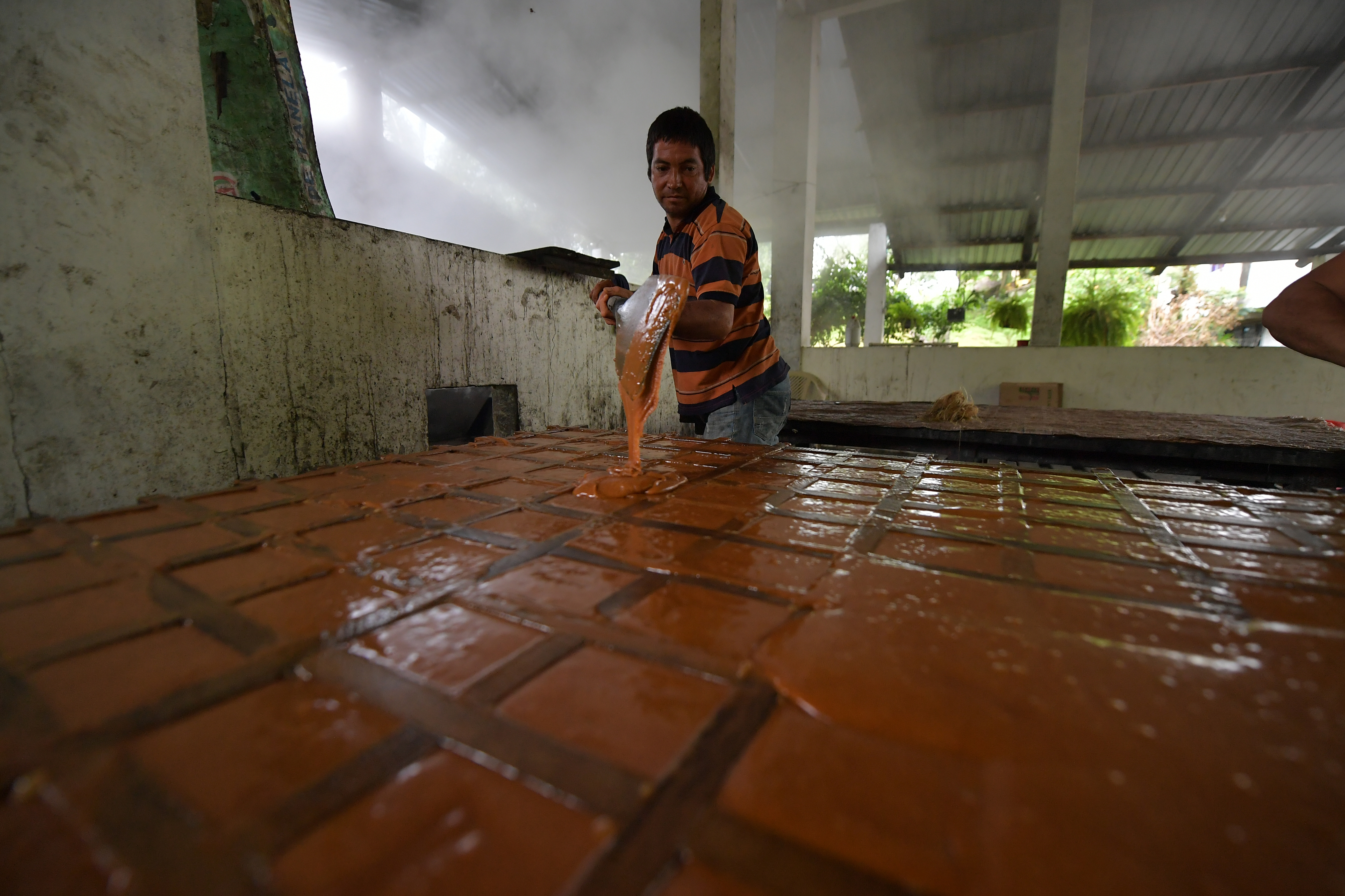 Productores de panela de Villeta Cundinamarca