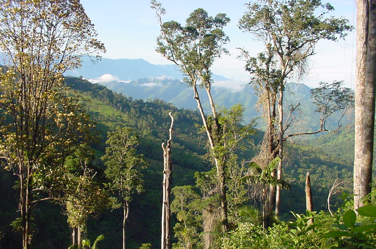 Cooperación alemana, aliado en la conservación de las áreas protegidas de Colombia