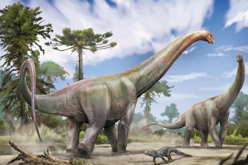 Hallan nueva especie de dinosaurio de 120 millones de años que conecta Suramérica y Europa