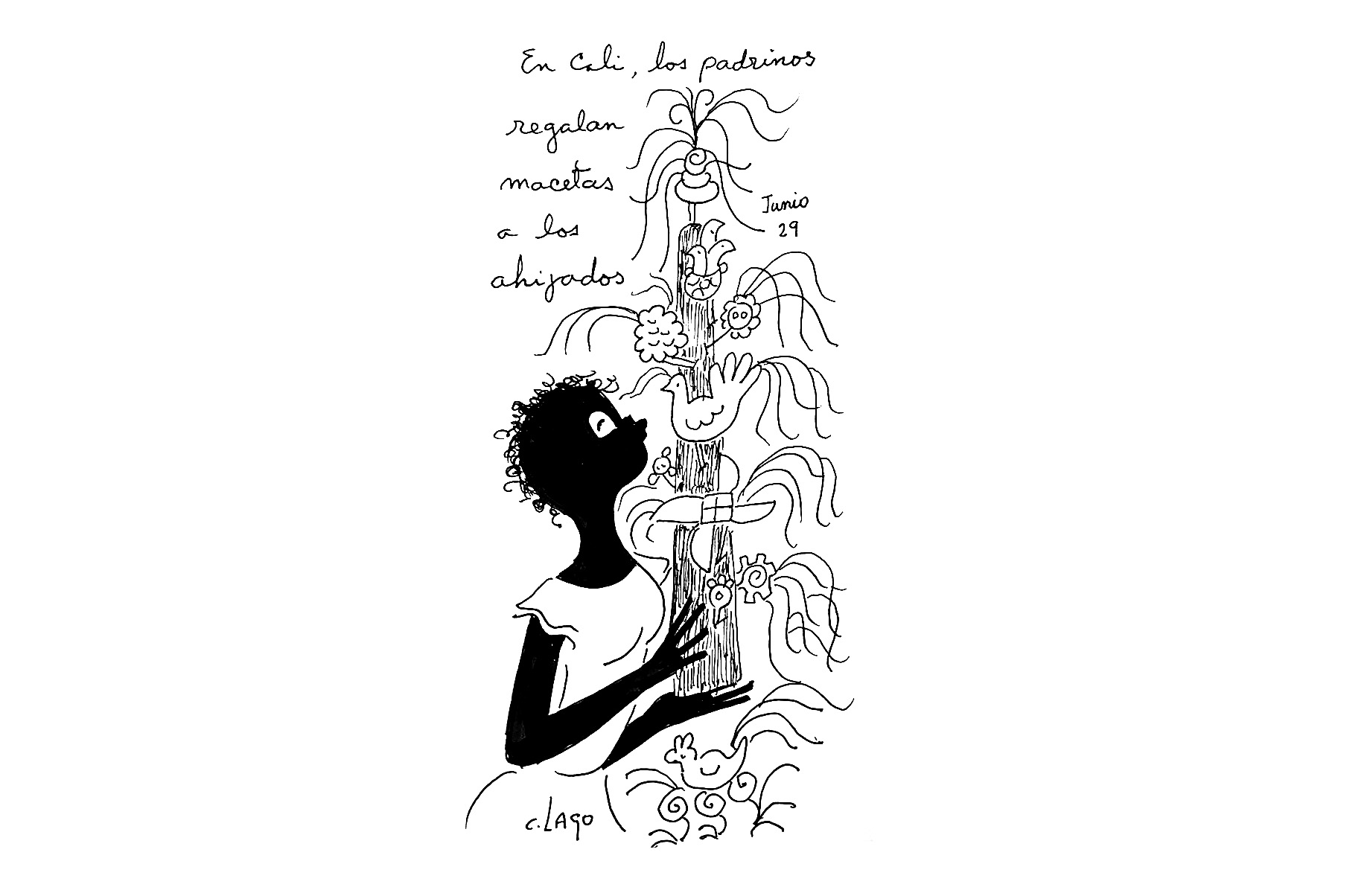 Nieves