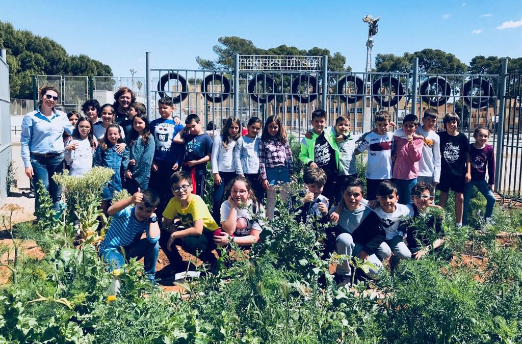 El proyecto ‘Huertas Escolares’ de Cartagena que impulsa la agricultura urbana