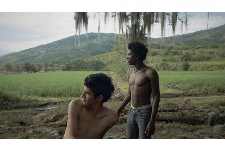 Película colombiana «Los Hongos» es premiada en Rotterdam