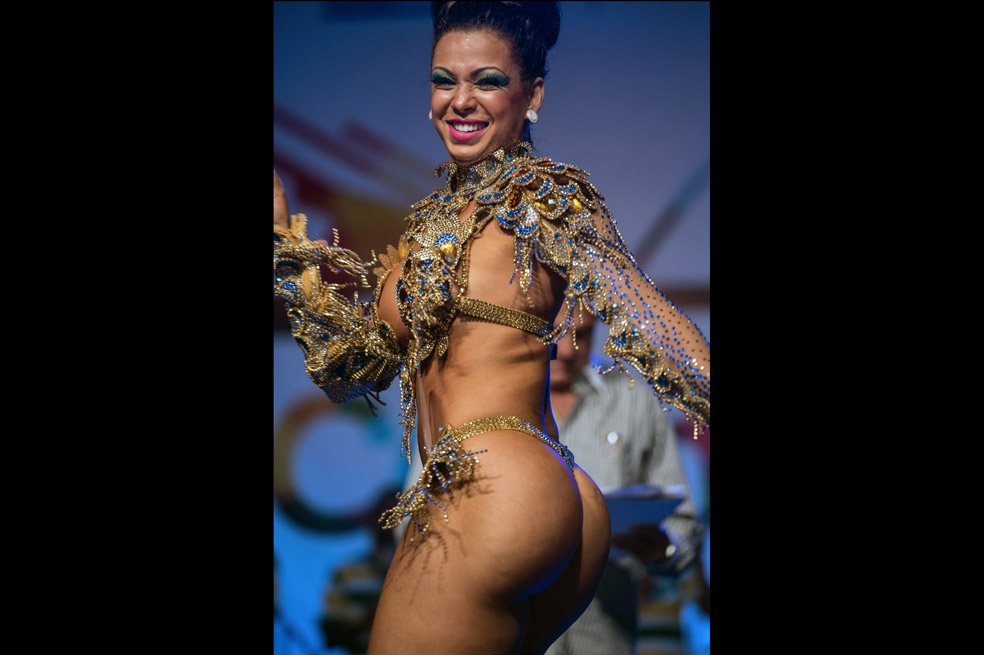 Carnaval de Río de Janeiro 2014 ya tiene reyes