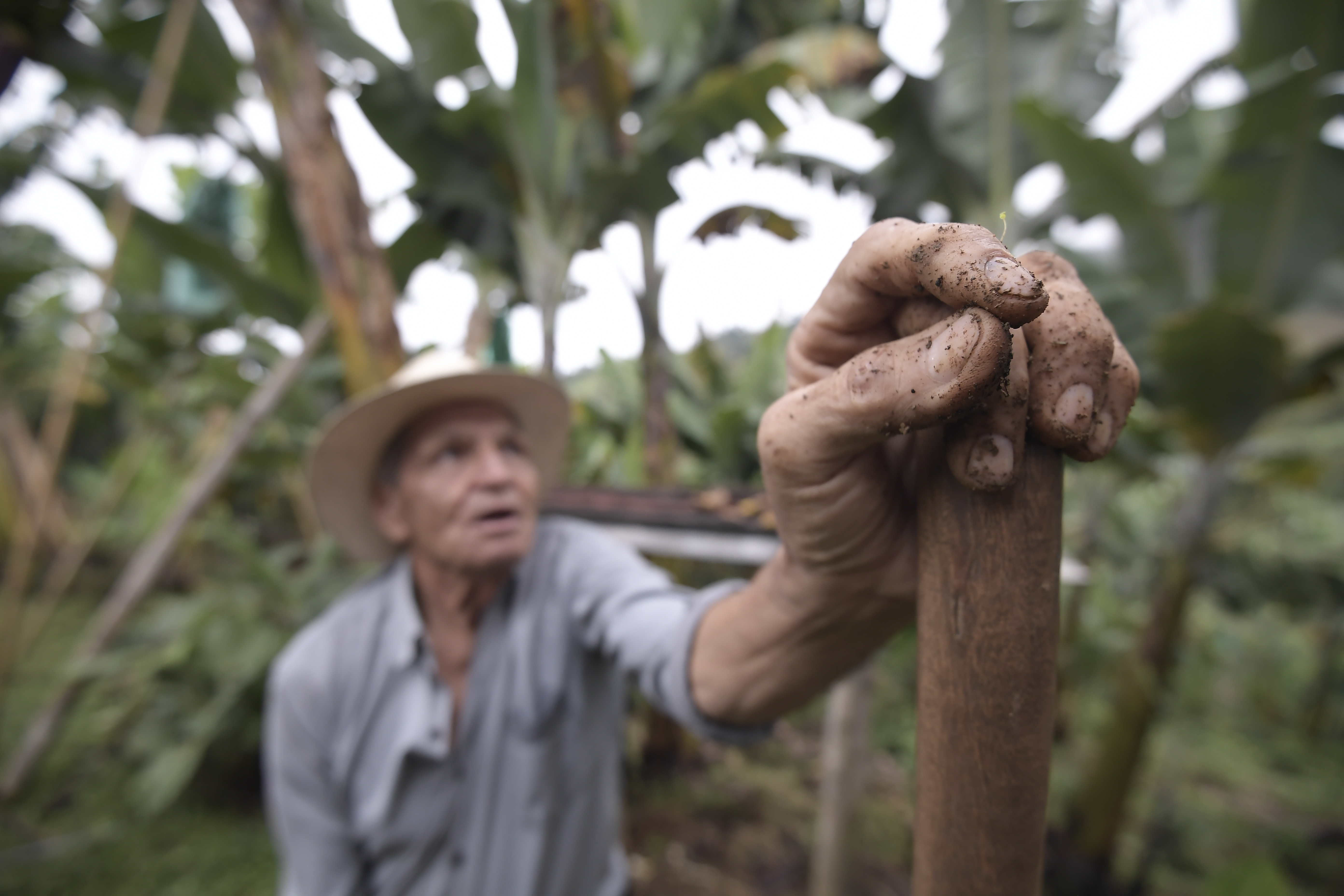 La ONU requiere financiamiento para enfrentar los impactos de La Niña