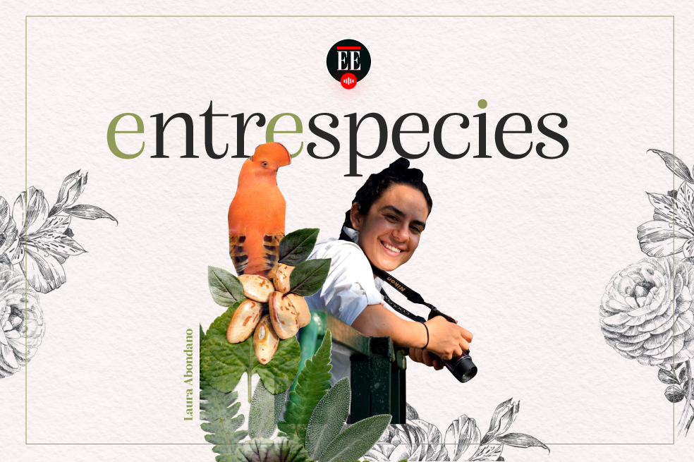 Los misterios del apareamiento entre los monos churucos | Pódcast Entrespecies