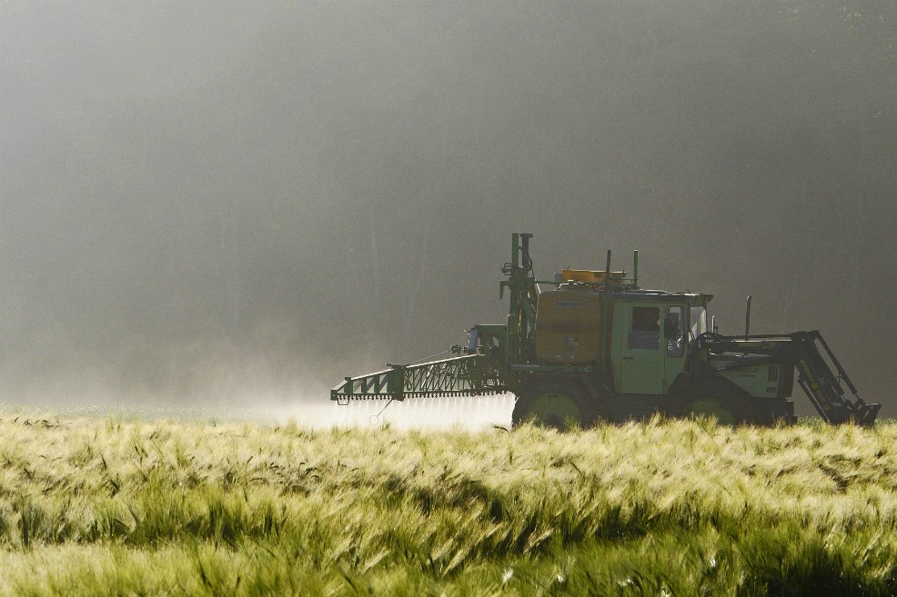 Ingesta prolongada de pesticidas crea cambios metabólicos