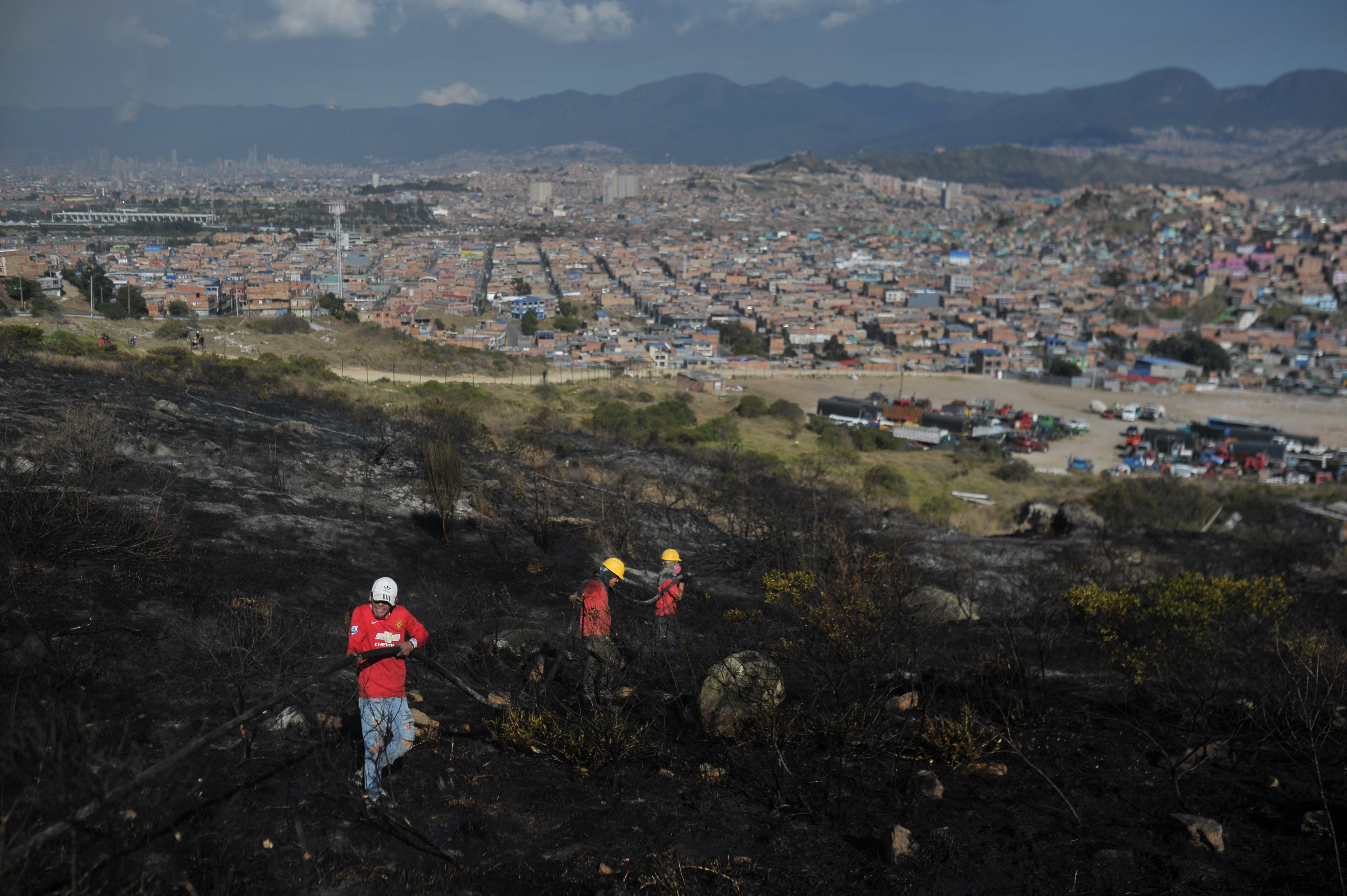Avanza restauración del cerro El Cable con siembra de 1.400 árboles nativos