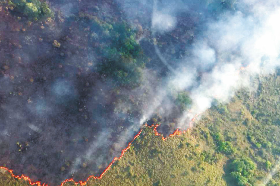 Los incendios en el Amazonas son más destructores que en otras regiones