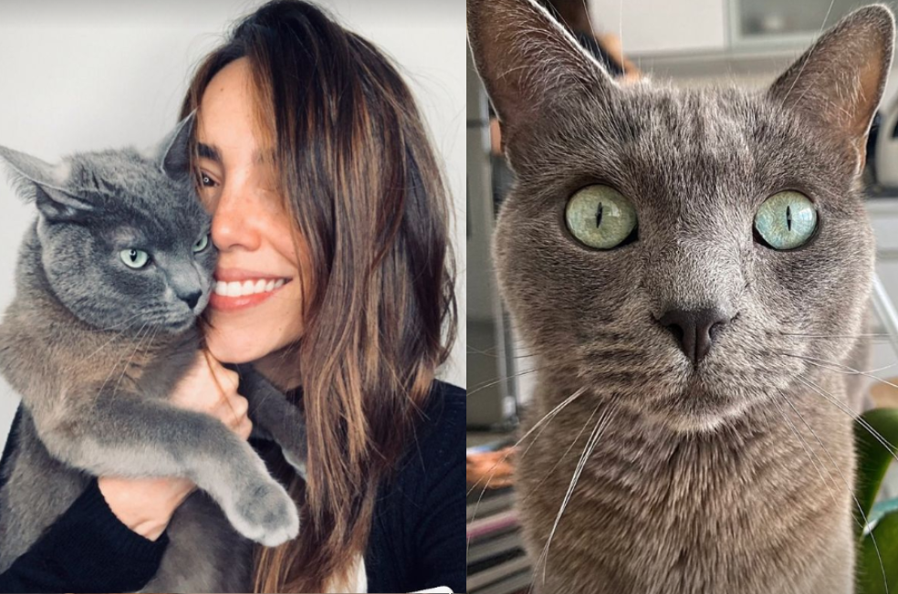 “Él también la amaba”: Raúl Ocampo habla del gato de Alejandra Villafañe