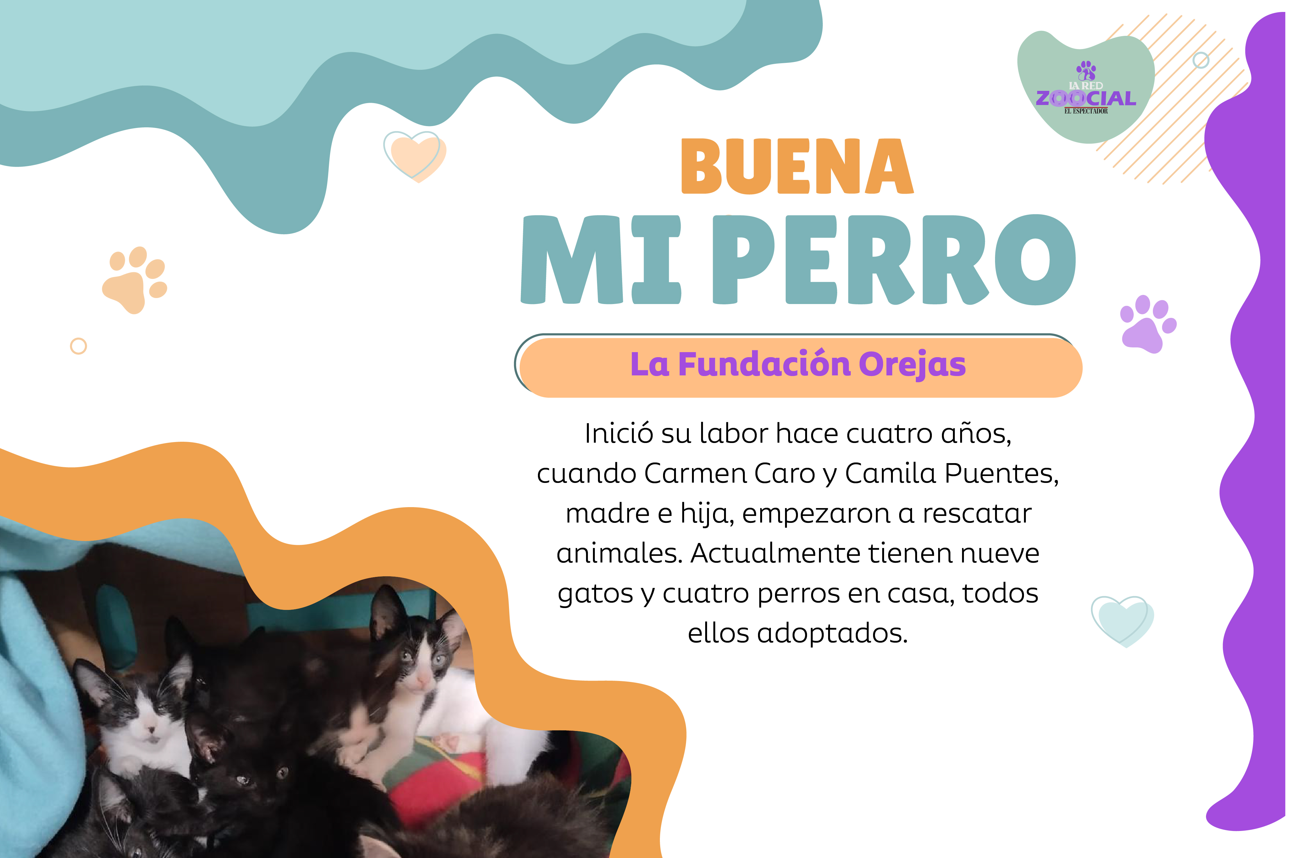 Madre e hija iniciaron esta fundación hace cuatro años, luego de empezar a rescatar animales que adoptaban en su hogar.