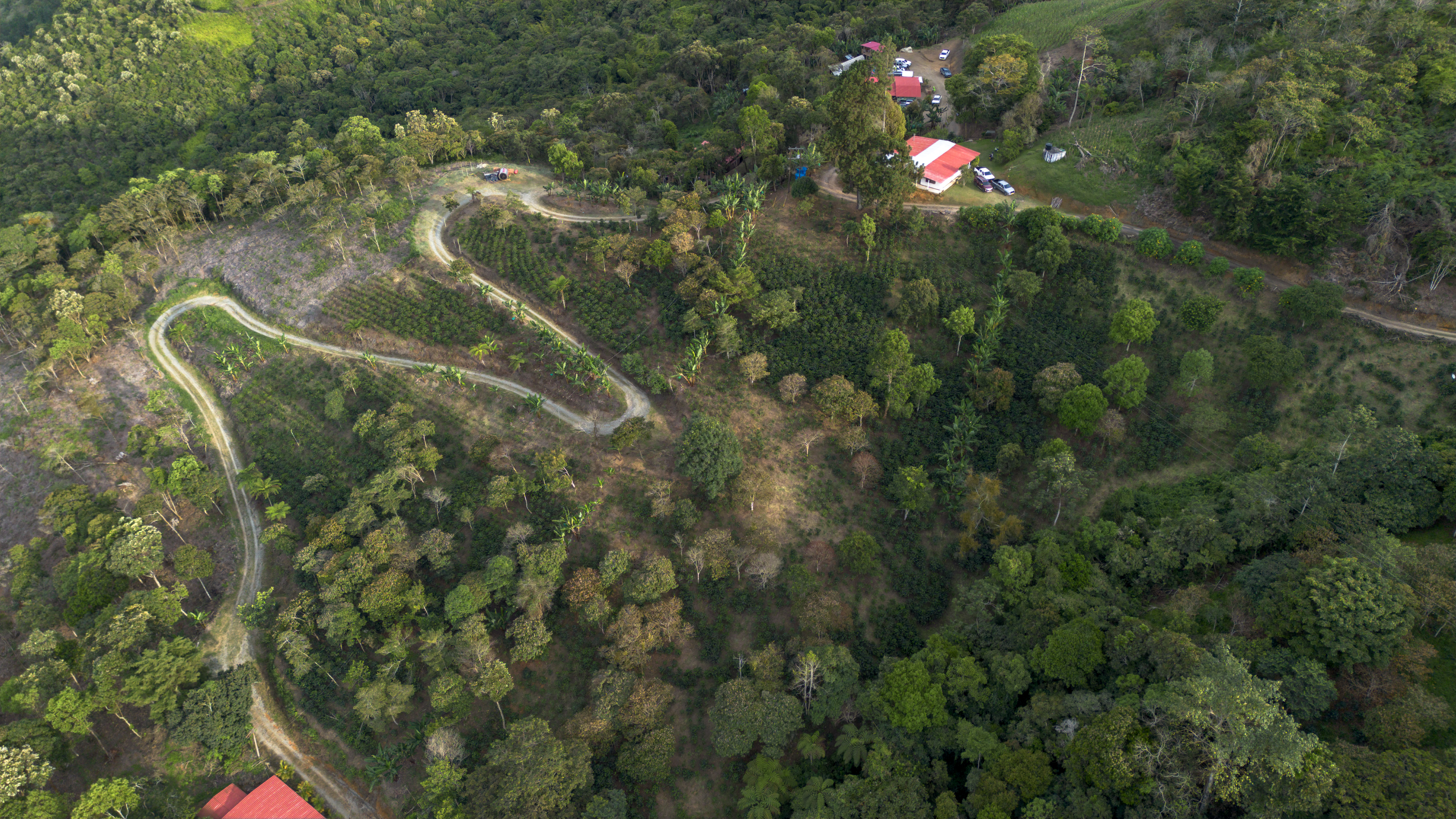 La finca Trópicos, frutos de la esperanza está en Yotoco, Valle del Cauca.