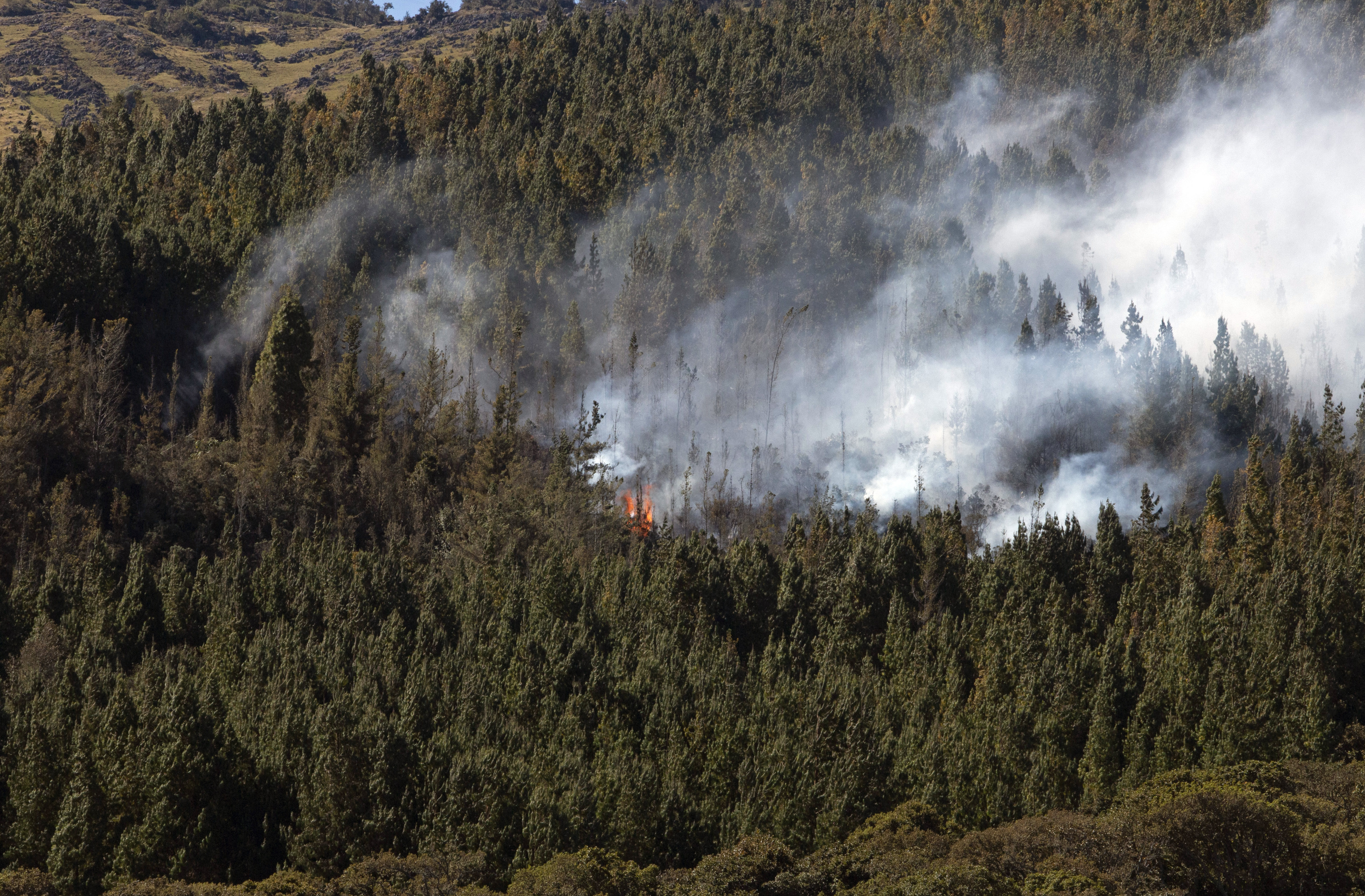 AME1862. SANTURBÁN (COLOMBIA), 24/01/2024.- Vista hoy de un incendio forestal cerca al páramo de Berlín en el nudo de Santurbán, en Santander (Colombia). Decenas de hectáreas de vegetación de alta montaña han sido consumidas por un incendio en el páramo de Berlín, crucial para el abastecimiento de agua potable del noreste de Colombia, informaron este miércoles las autoridades. El páramo de Berlín hace parte del sistema de páramos de Santurbán, una de las principales reservas de agua potable del país y está incluido entre los Parques Nacionales. EFE/ Mario Caicedo