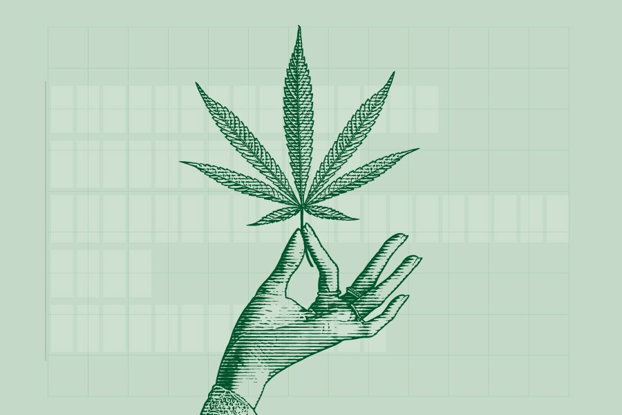 Las claves de la política de drogas de la era Duque, según Elementa DD.HH.