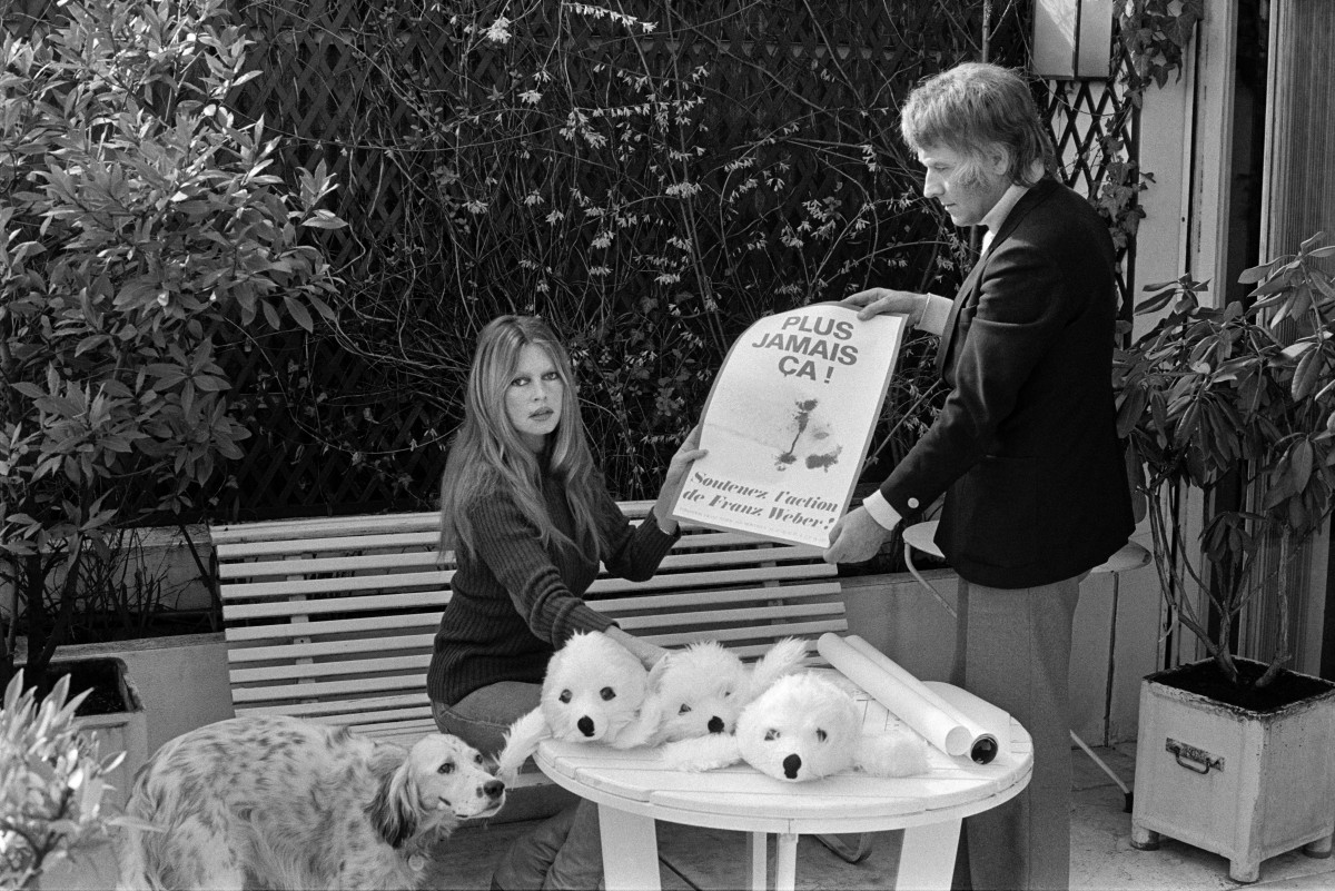 Murió a los 91 años Brigitte Bardot, icono del cine que cambió la fama por la defensa animal