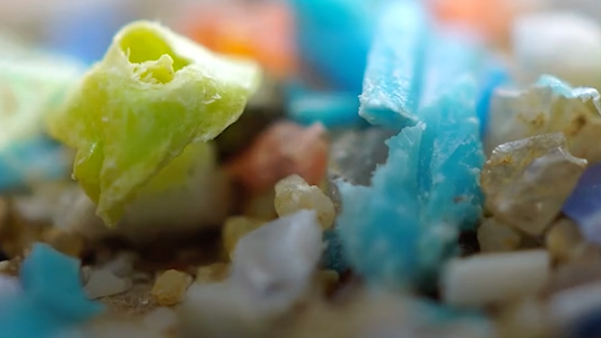 Micropásticos: ¿Cómo estos materiales llegan a la sangre?