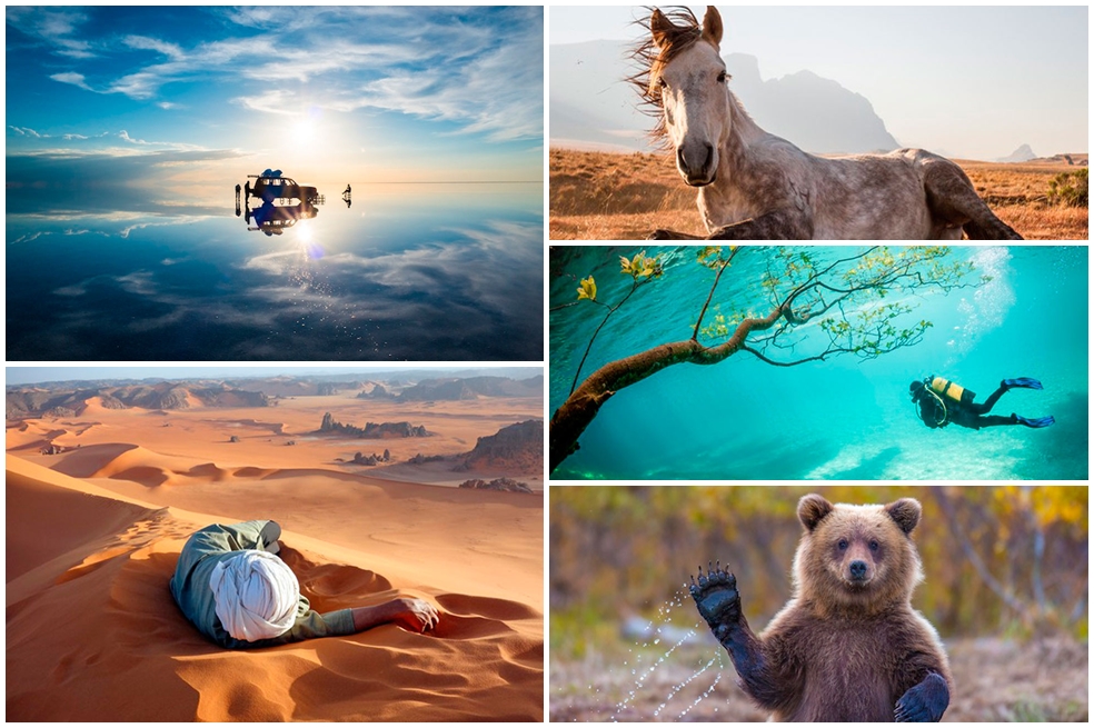 Las mejores imágenes de National Geographic en 2014