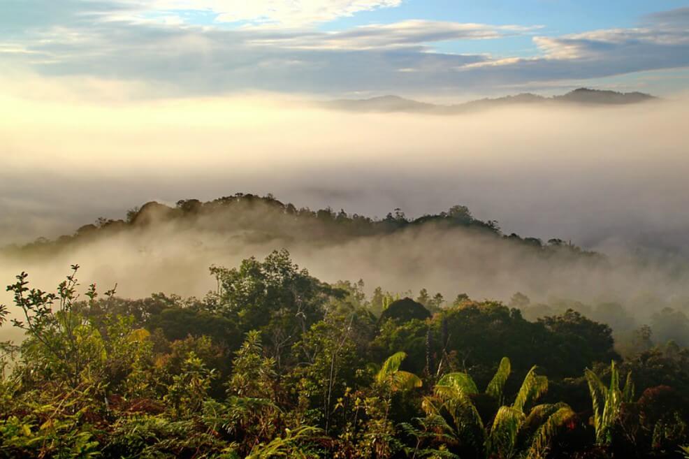 Indonesia quiere implantar su nueva capital en el este de Borneo