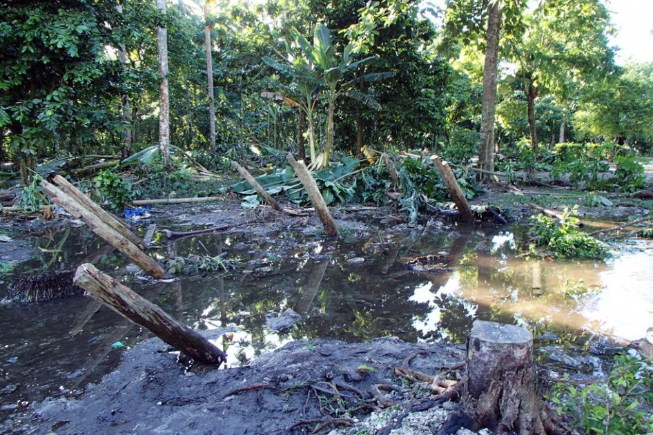 Nuevo sismo dificulta ayuda humanitaria en Islas Salomón