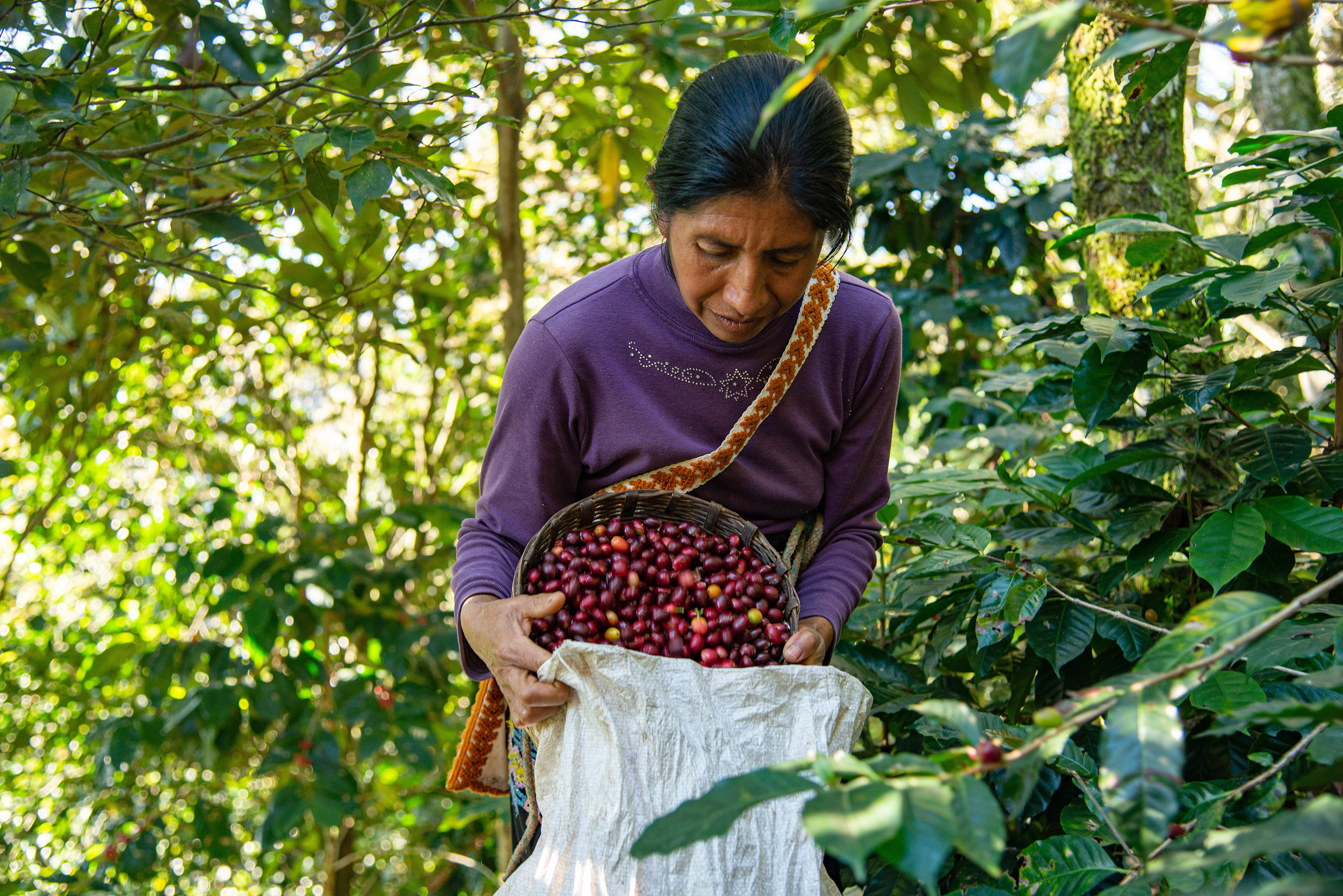 La desigualdad persiste para las mujeres campesinas en Colombia: Defensoría