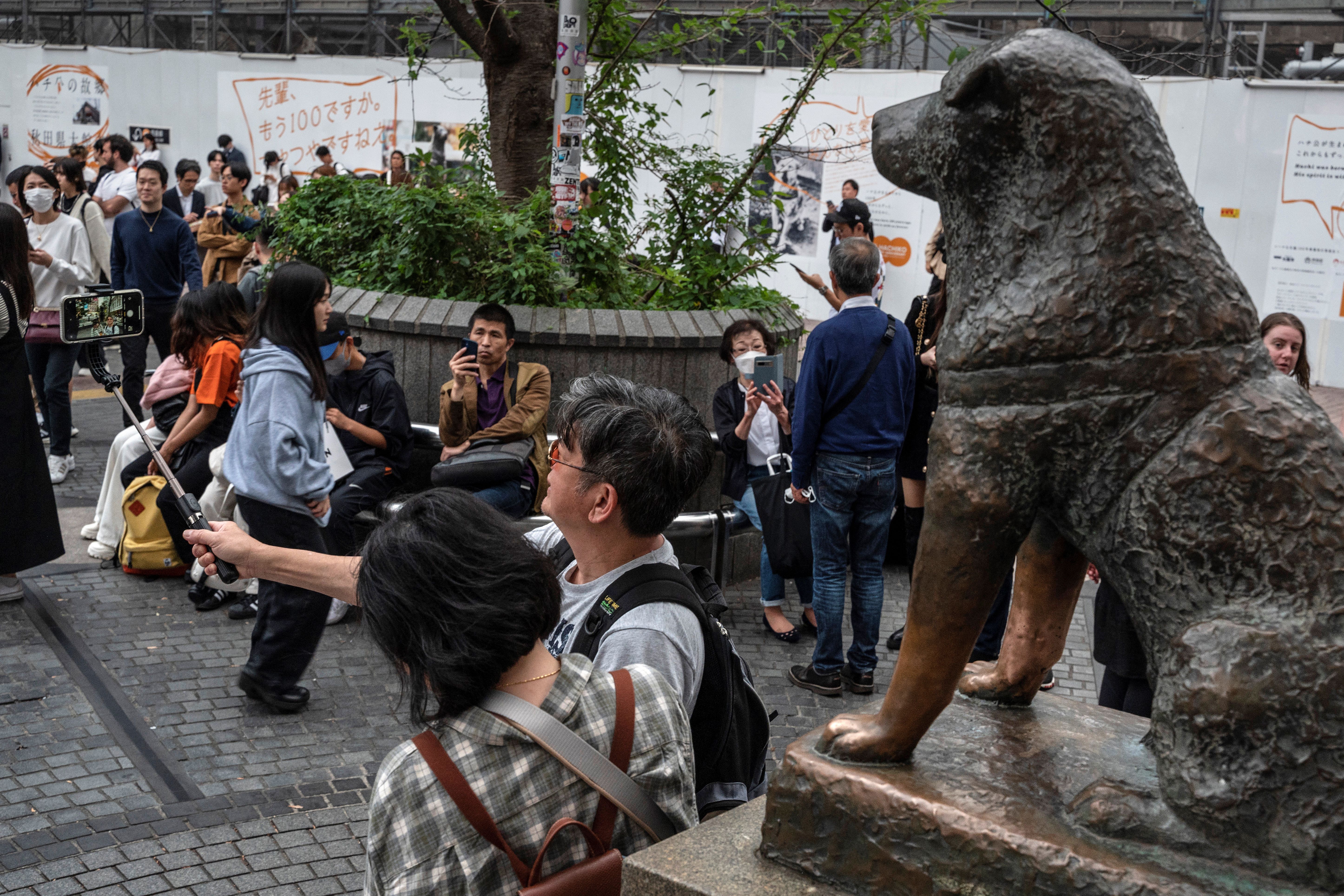 Tokio recuerda el centenario del fiel perro Hachiko