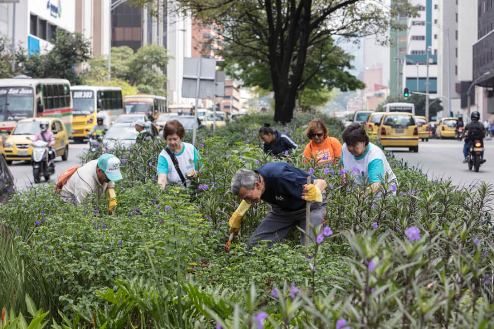Medellín, vamos por buen camino