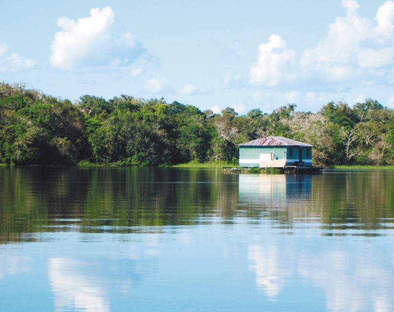 La primera área protegida monitoreada de la Amazonia