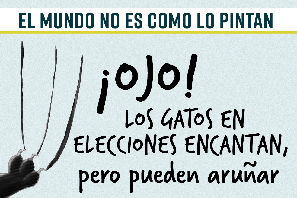 El mundo no es como lo pintan: ¡Ojo! Los gatos en elecciones encantan, pero aruñan
