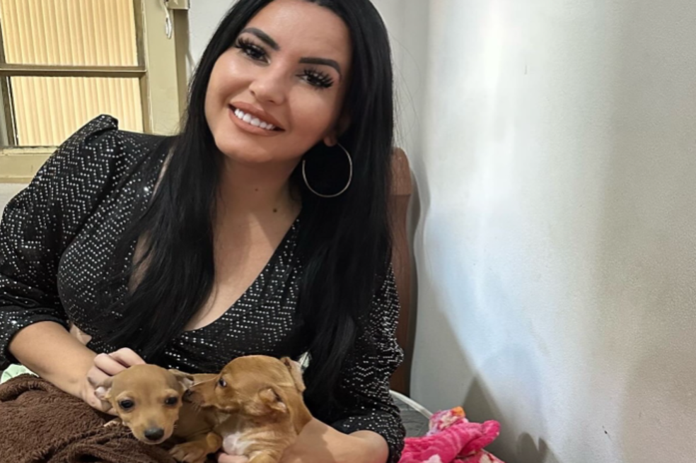 Cachorros siendo rescatados