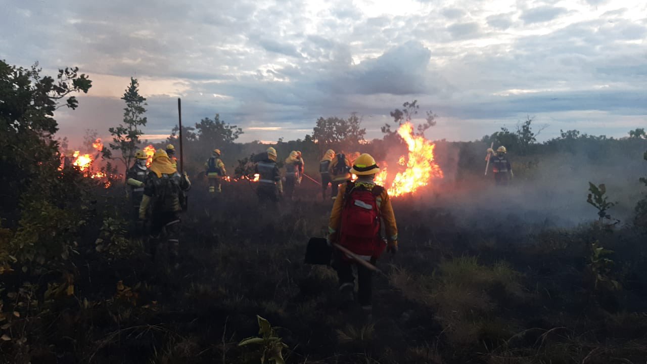 Se reactivan incendios en el Parque Nacional El Tuparro, en Vichada