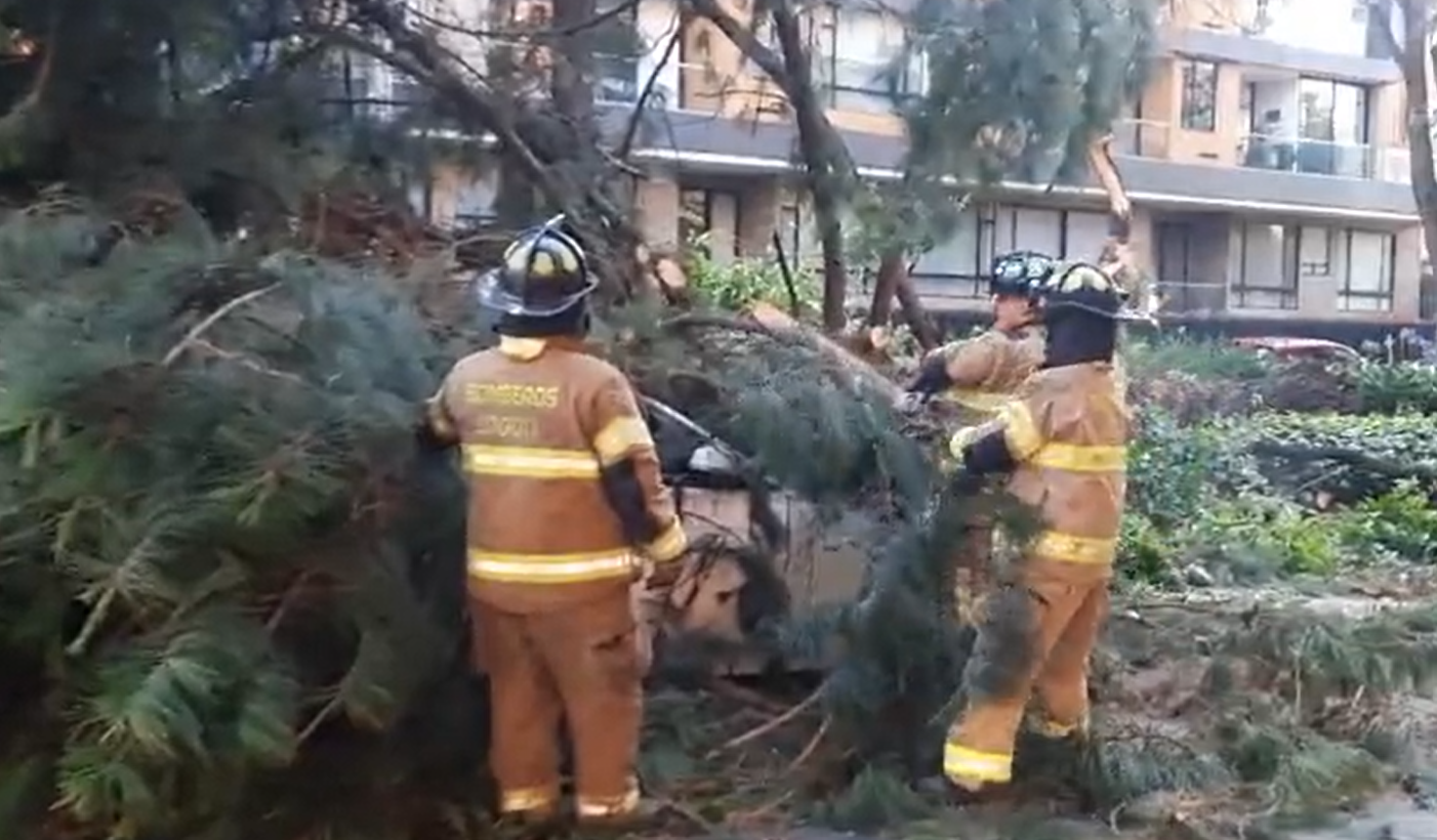 Bogotá: rescatan a dos personas atrapadas en carro tras caída de árbol en Usaquén