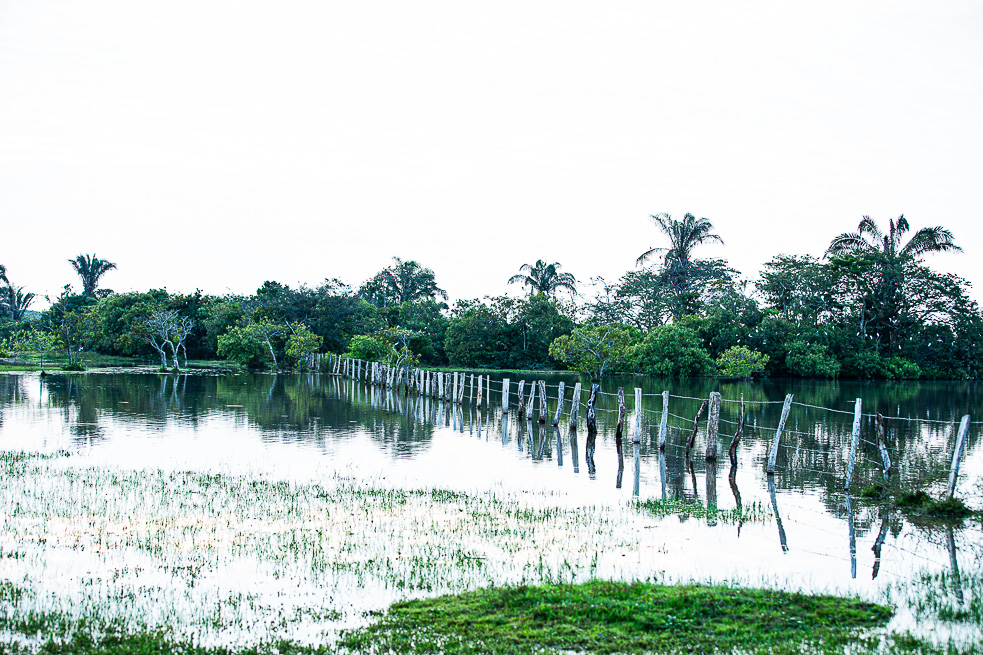 Orocue Casanare