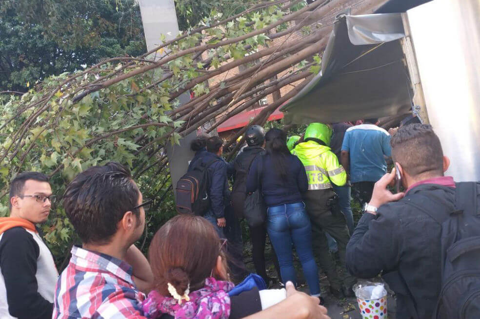 Tres lesionados deja caída de árbol en el norte de Bogotá