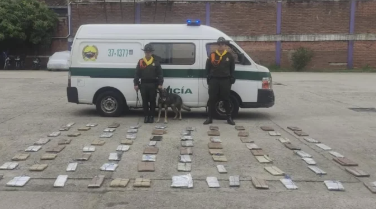 Dos perros estropearon venta de marihuana en Medellín: así fue el operativo