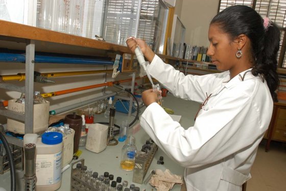 Abierta convocatoria para becas de investigación en biología
