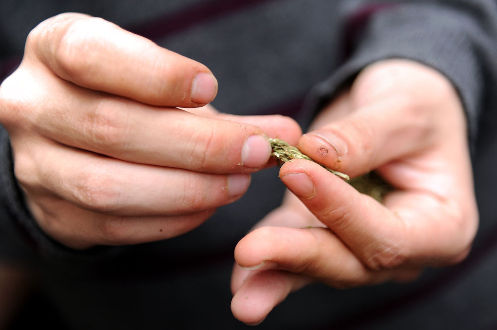 Aprobado en primer debate proyecto que crearía centros de consumo controlado de drogas