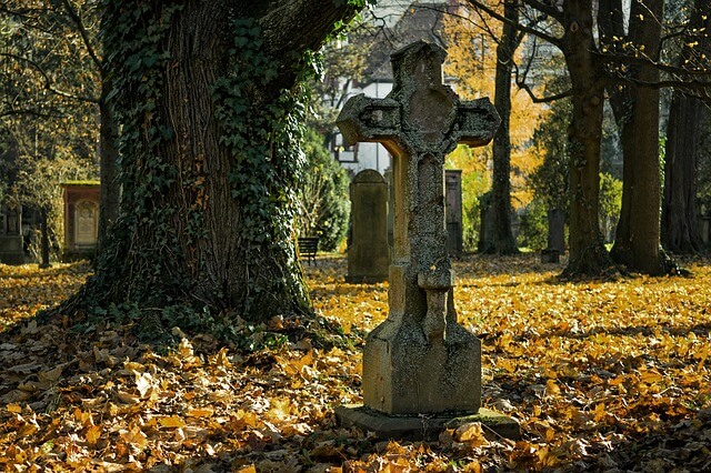 El miedo a la muerte: ¿construcción cultural o temor instintivo?