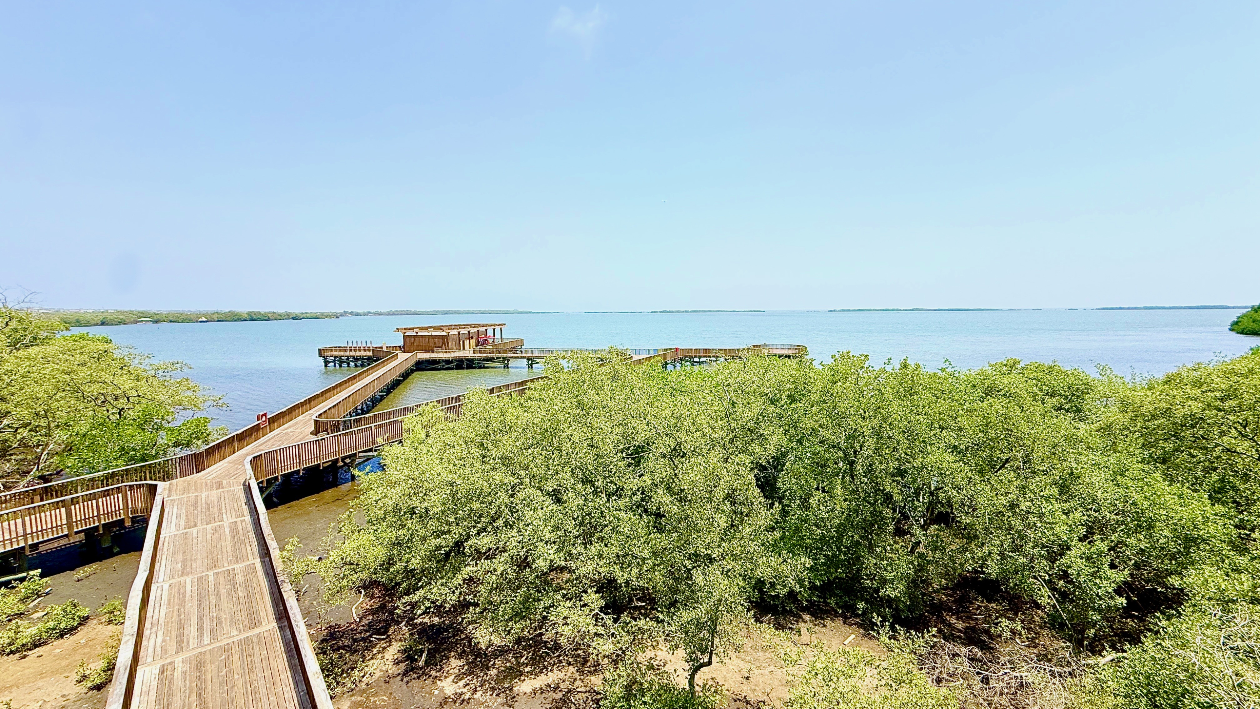 La Ciénaga de Mallorquín es un ecosistema lagunero de 650 hectáreas en total. La profundidad de sus aguas es de solo un metro en promedio, por lo que es caminable en gran parte de su extensión. Funciona como un santuario silencioso que contrasta con el bullicio del área metropolitana, atrayendo a viajeros que buscan autenticidad y naturaleza.