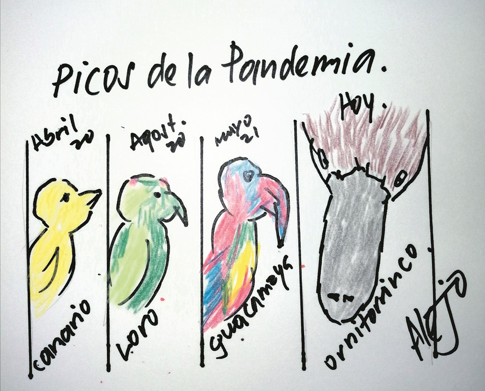 Picos de la pandemia, por Alejo