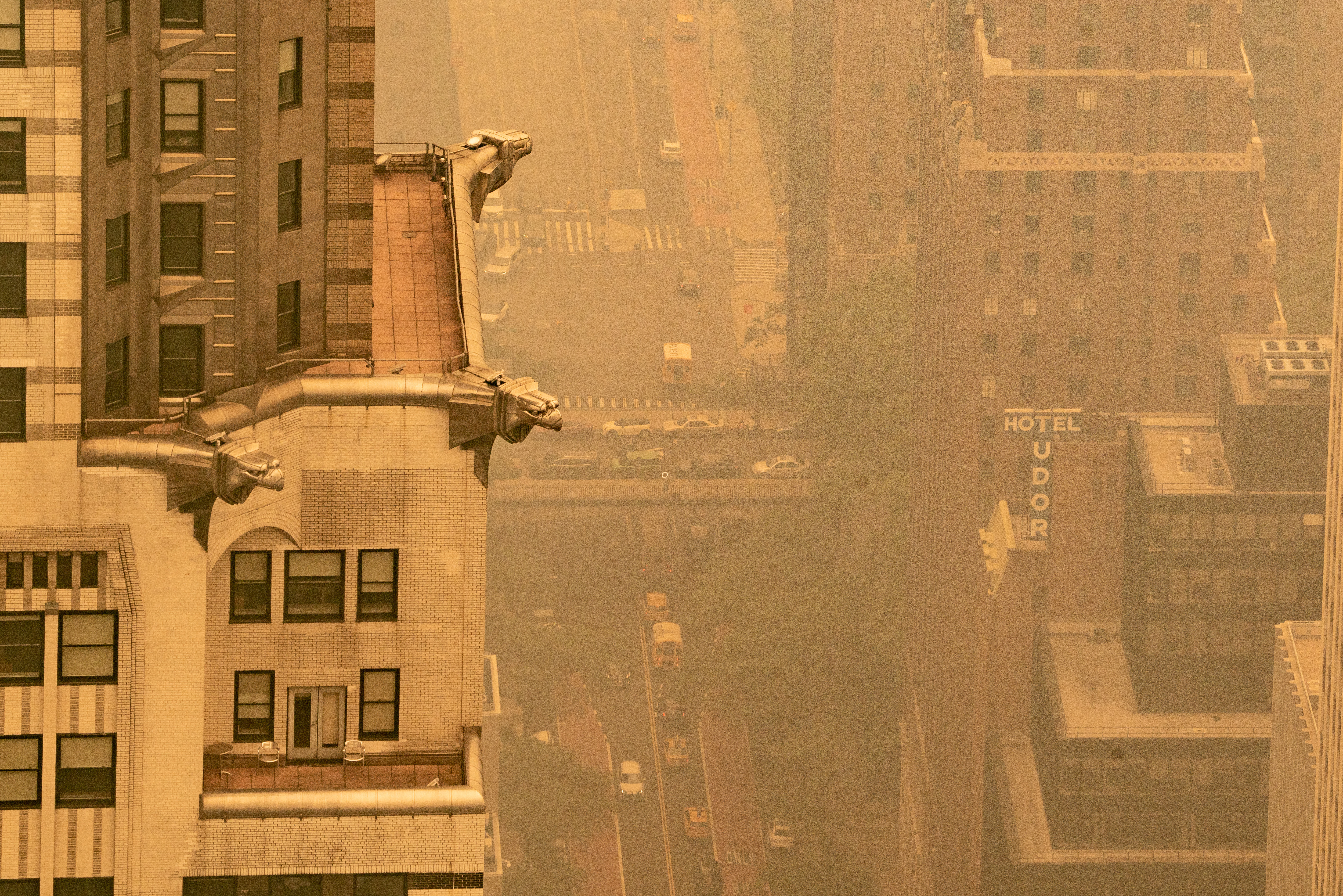 NY