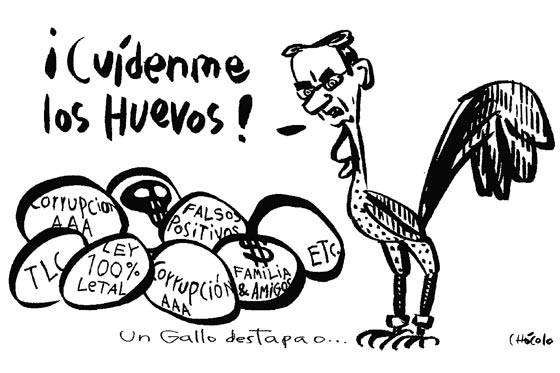 Un gallo destapado