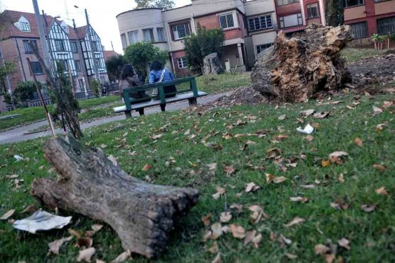 Capturadas 20 personas por expendio de drogas en parques de Bogotá