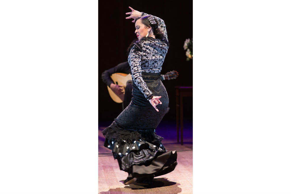 El paso del flamenco