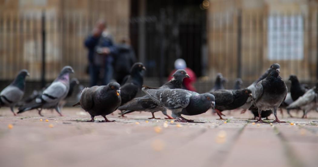 El fenómeno de los “migajeros”: ¿qué significa realmente?