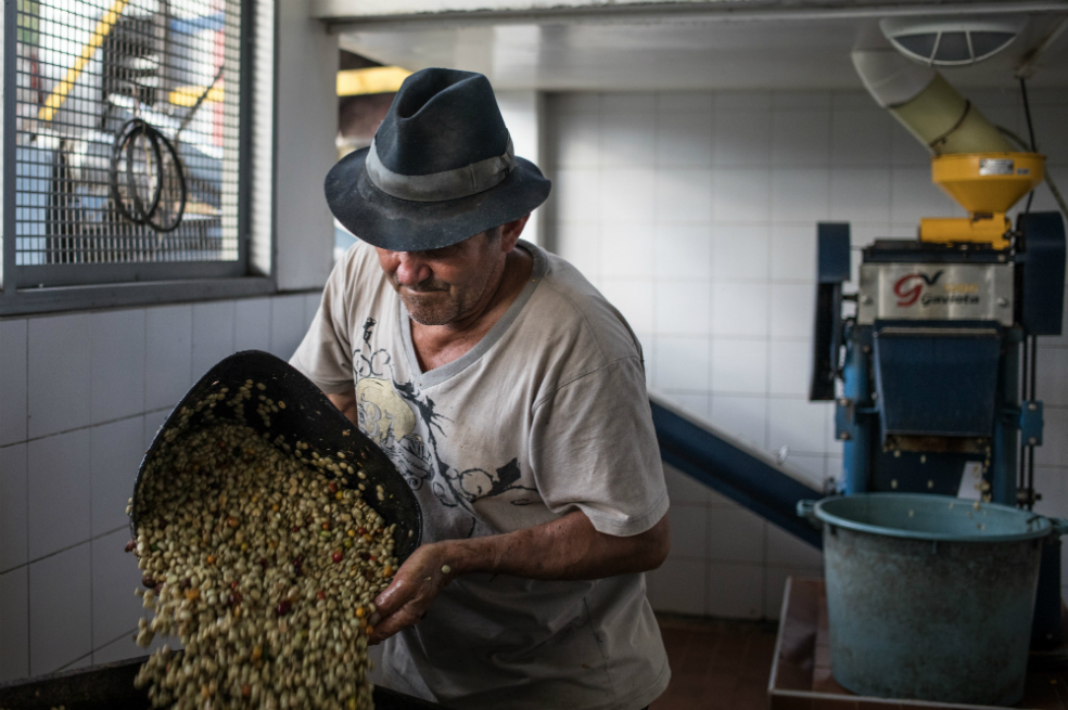 La proyección de producción para 2018 oscila entre 13,5 millones y 14 millones de sacos. / Bloomberg