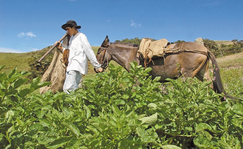 “Creo que con este libro se zanja y documenta esa generalización por la cual se tiende a presumir que los colombianos existen sólo a partir de 1810”, dice Enrique Serrano en su nuevo ensayo. / Cortesía Planeta Editorial
