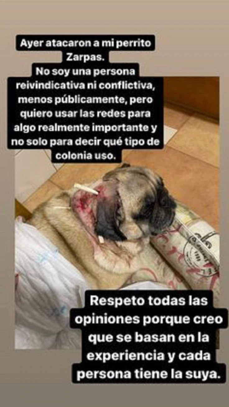 Esta fue una de las historias que subió Sandra Garal a su cuenta de Instagram.