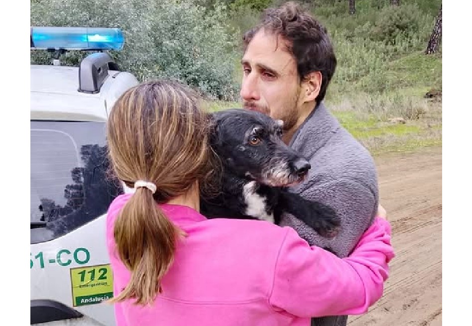 Así encontraron a Boro, el perro extraviado tras el accidente de trenes en España (video)