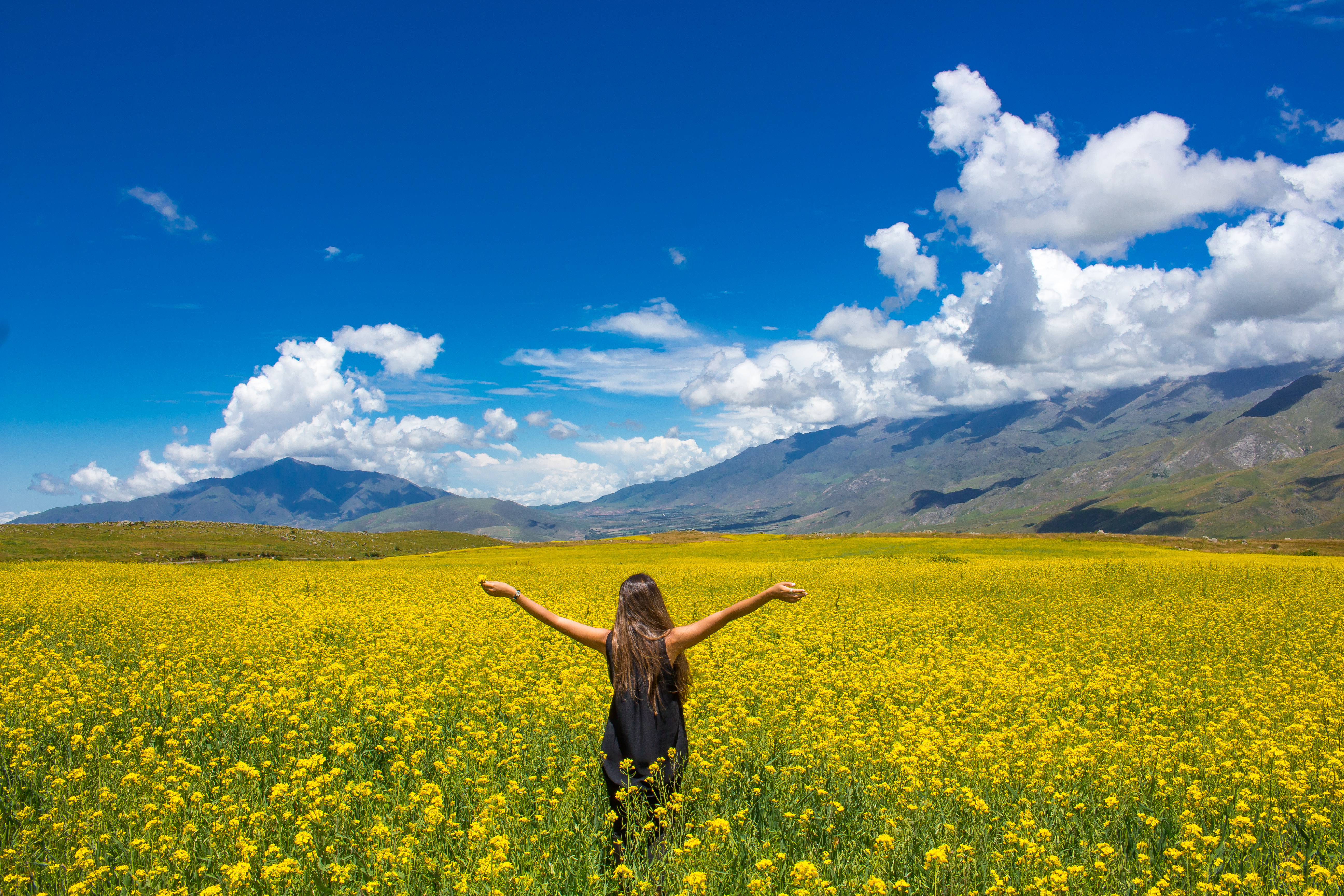 6 rutas naturales imperdibles en Argentina
